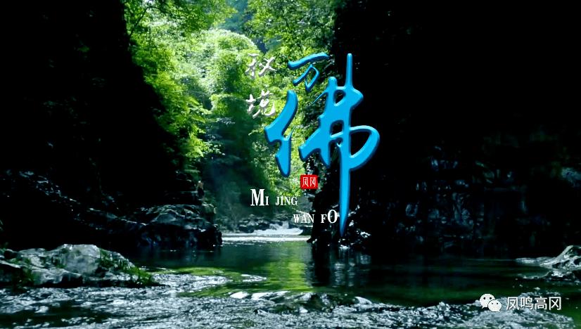 劫后余生：夺回
