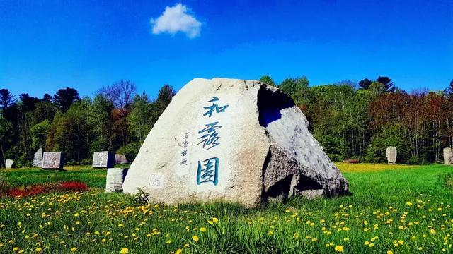 组装机械恐龙3
